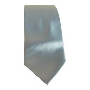 Alexander Logan Neckwear Men's Neck Tie Polyester Solid Pale Blue 63" L 3.75" W